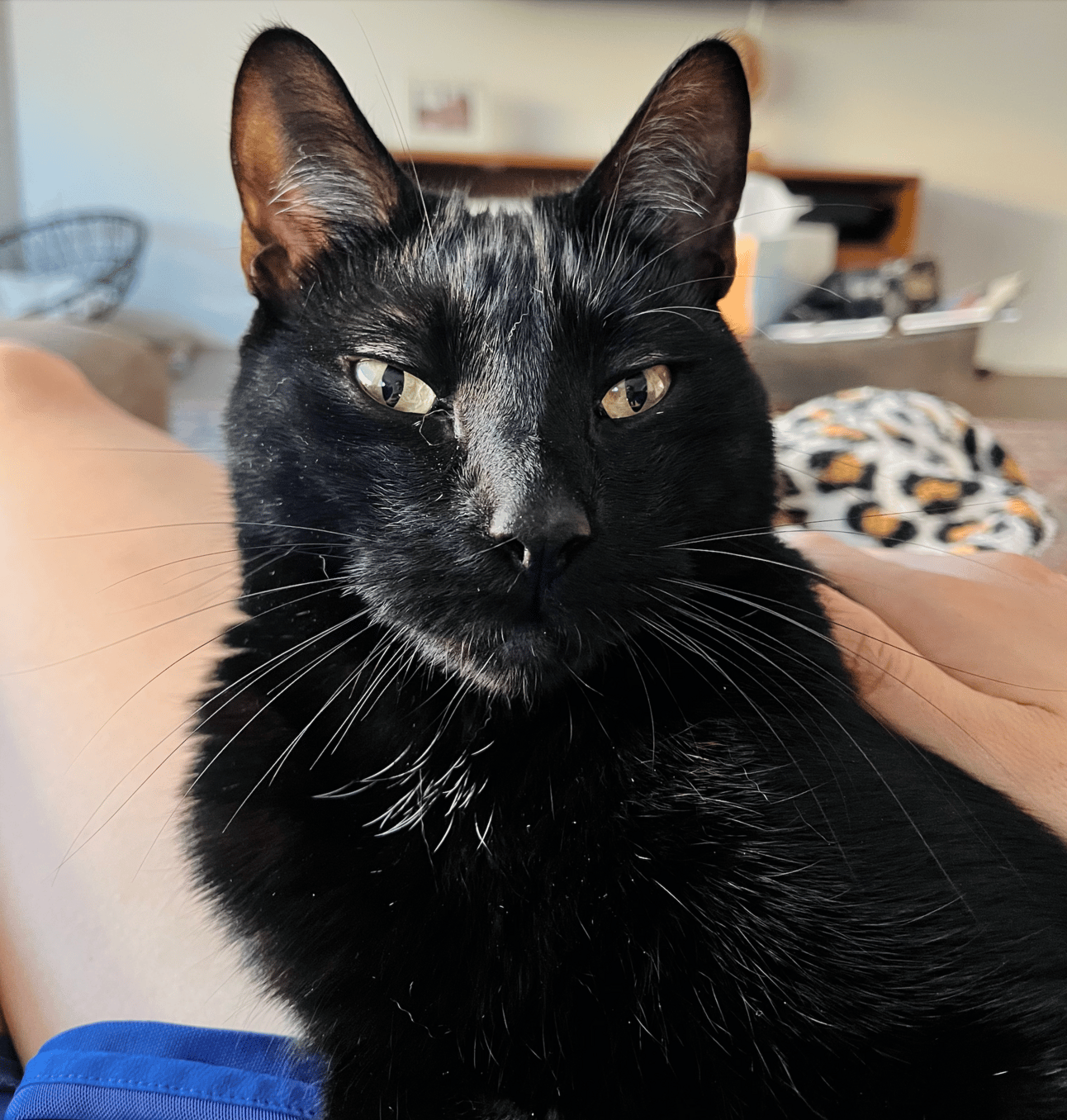This is Brad, btw. A very distinguished gentleman.