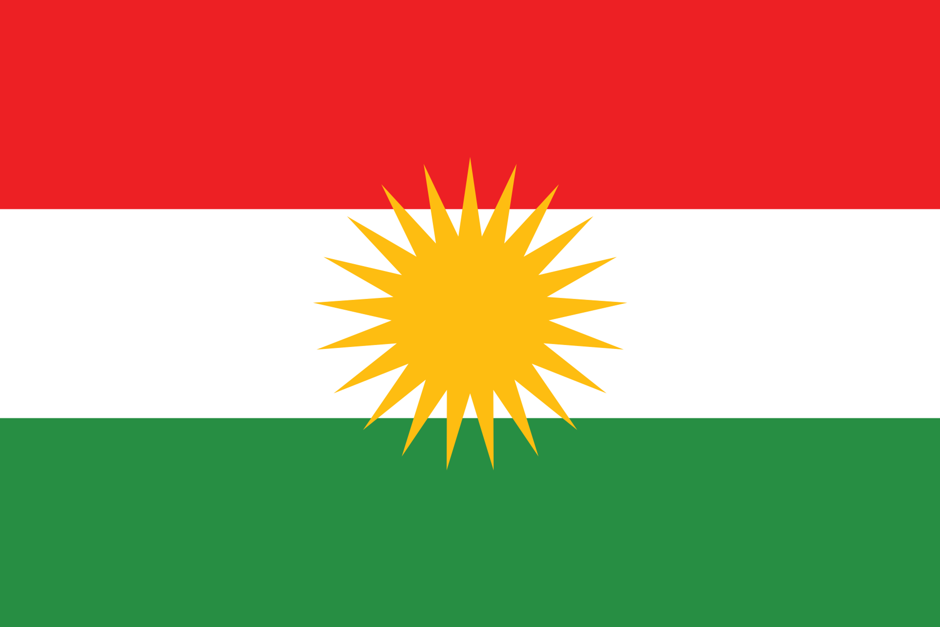 Trivia flag