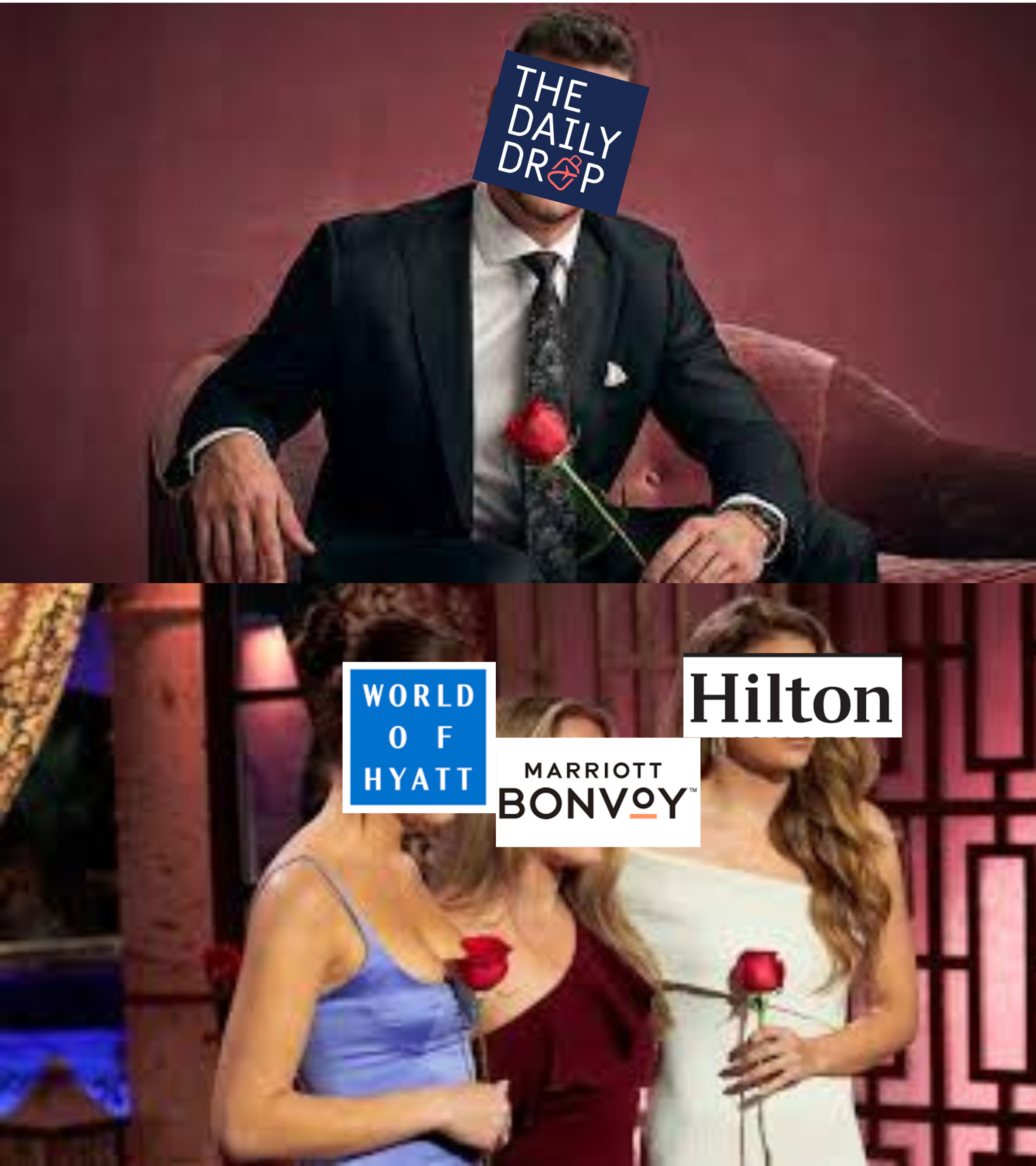 bachelor meme