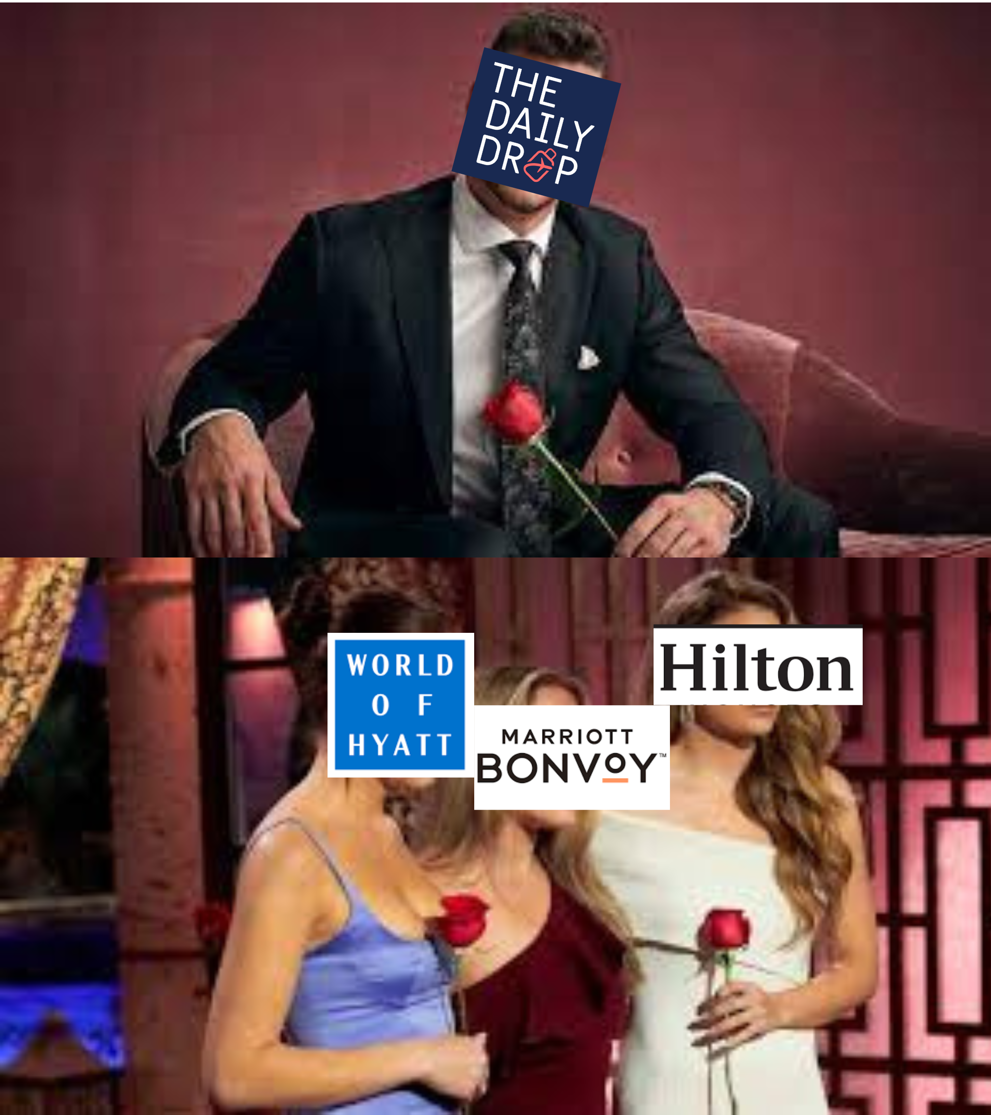 bachelor meme