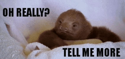 Gif of a sloth (or something) saying "Tell me more"