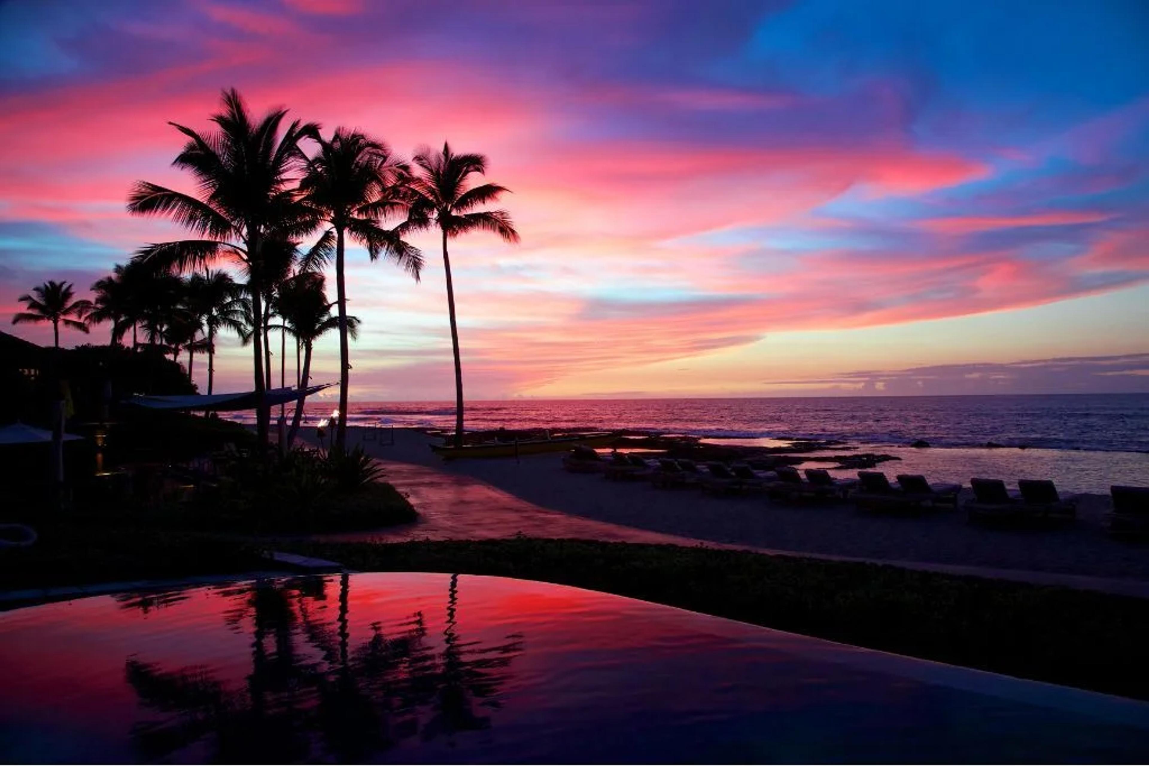🏝️ Did you win our Hawaii giveaway?