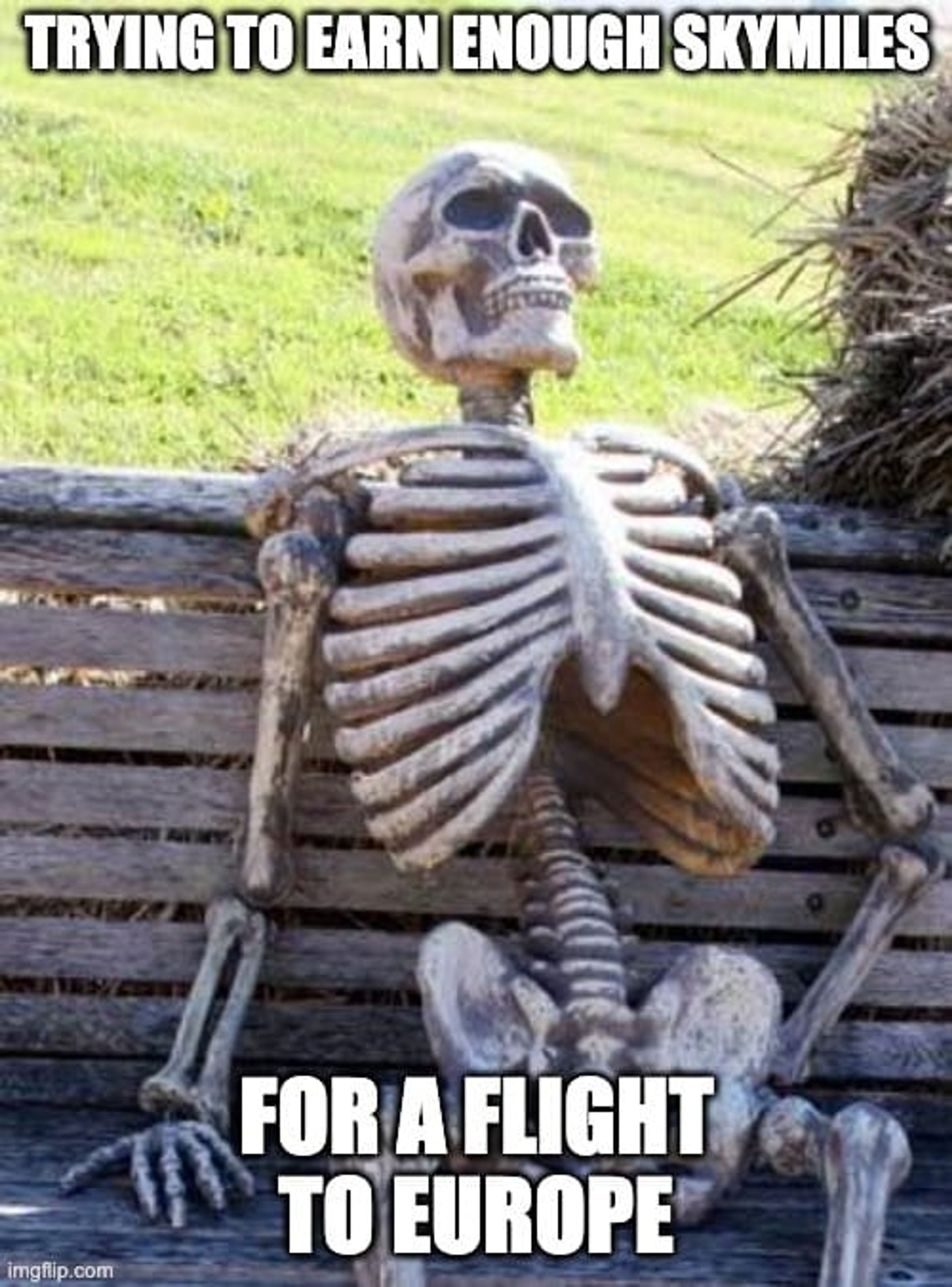 Skeleton meme
