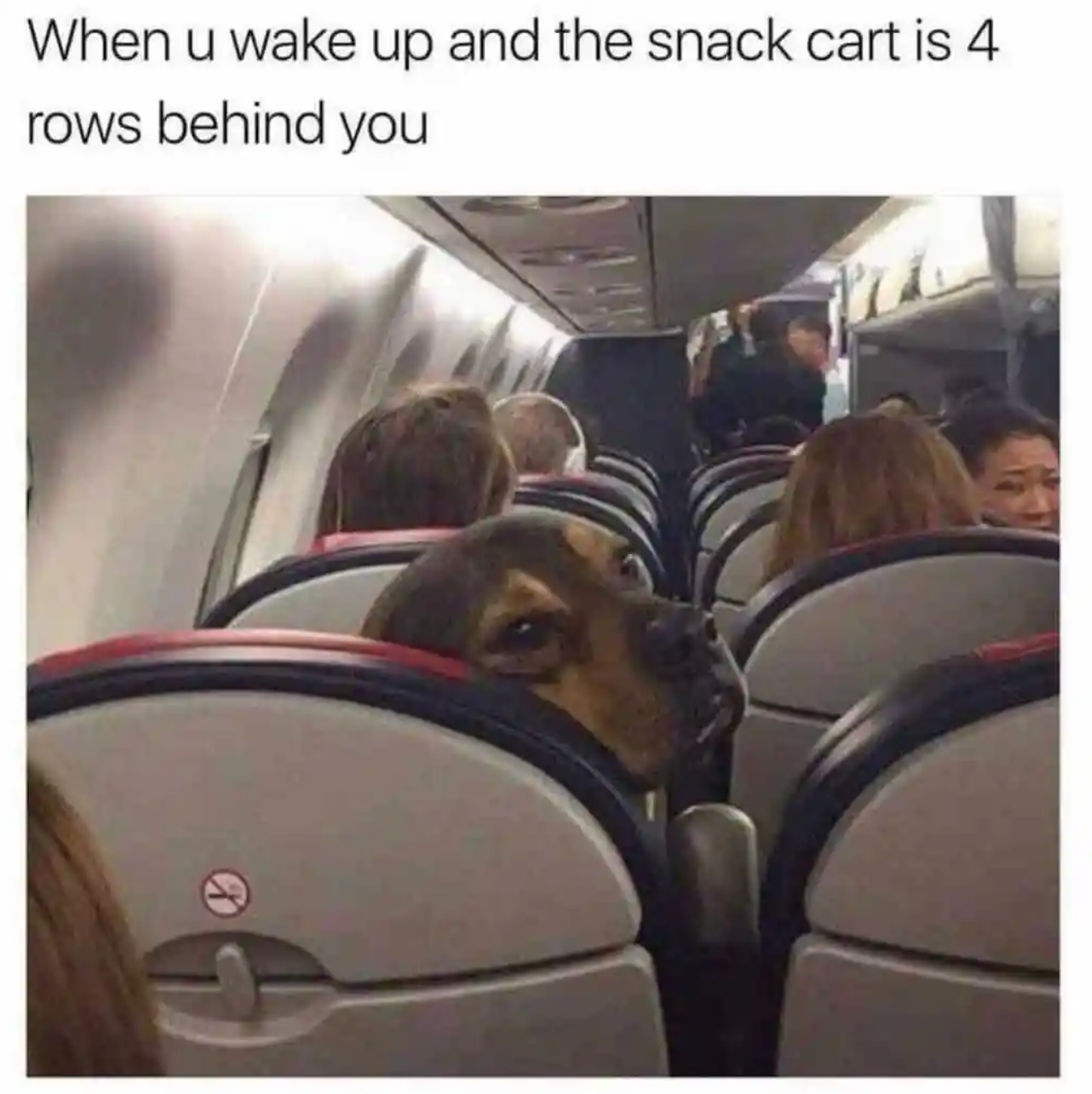 Travel meme