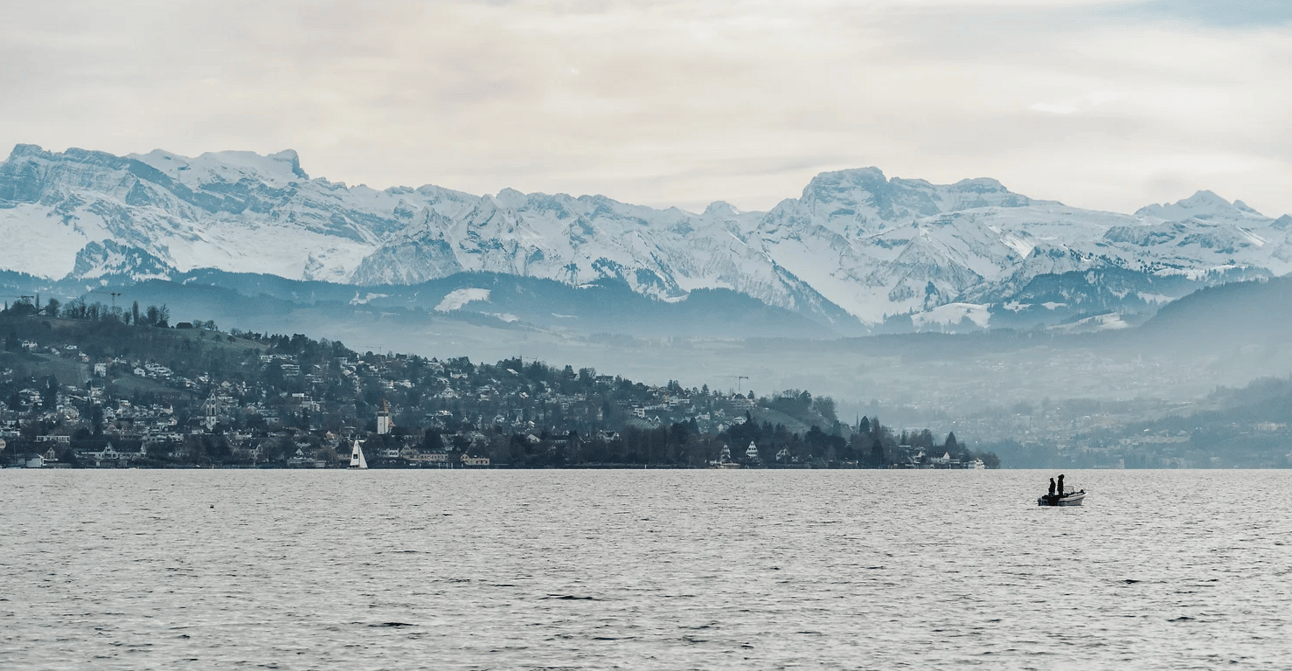 This is an actual photo I took…