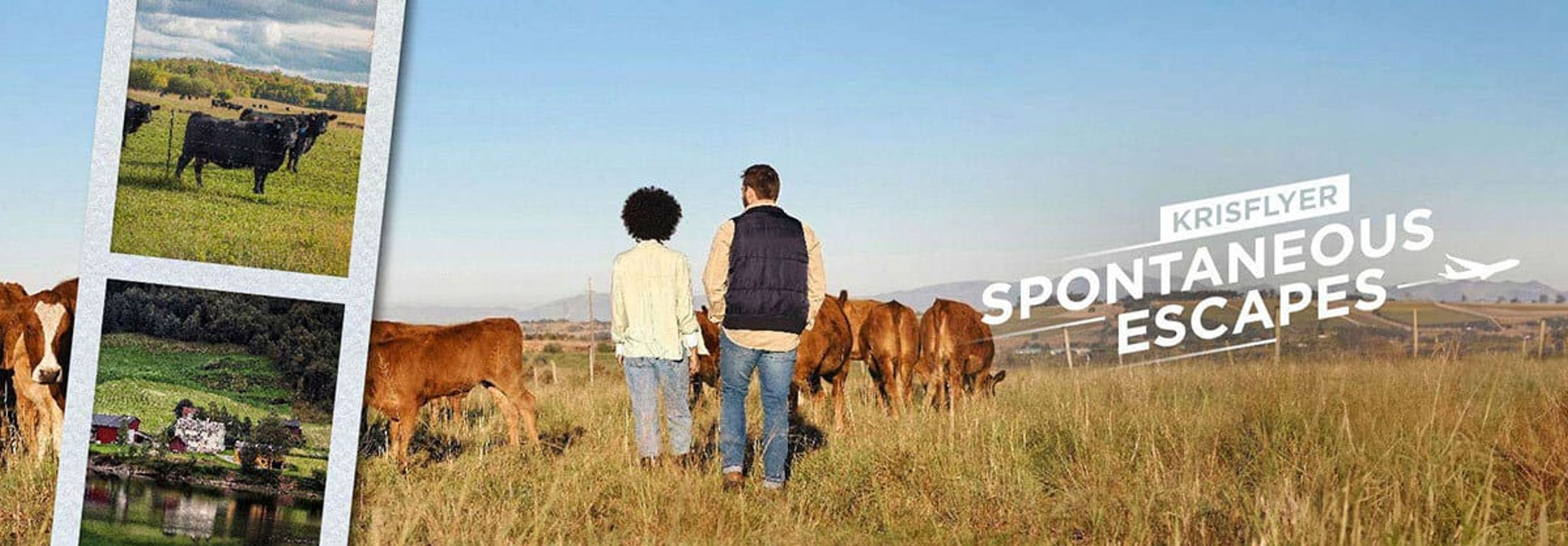 Singapore Spontaneous Escapes landing page