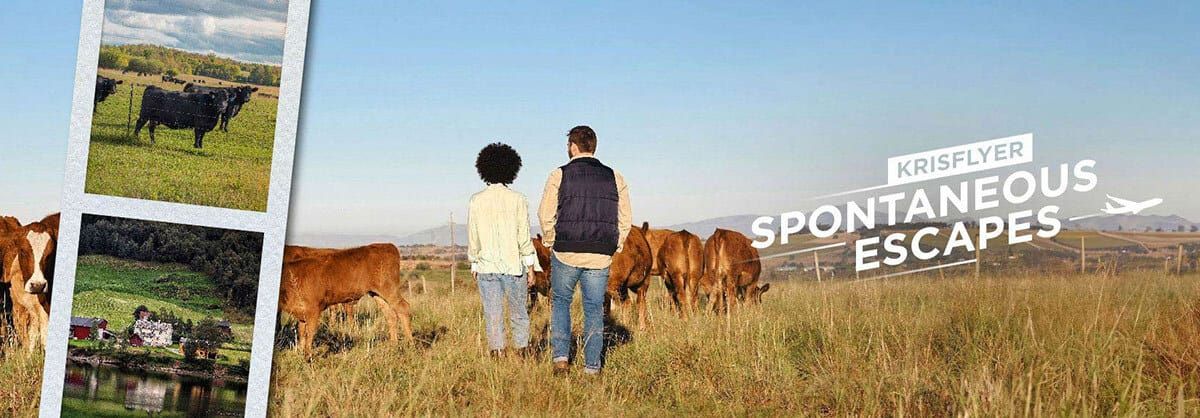 Singapore Spontaneous Escapes landing page