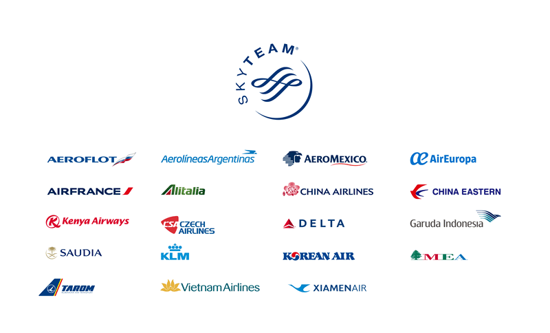 SkyTeam Airline logos