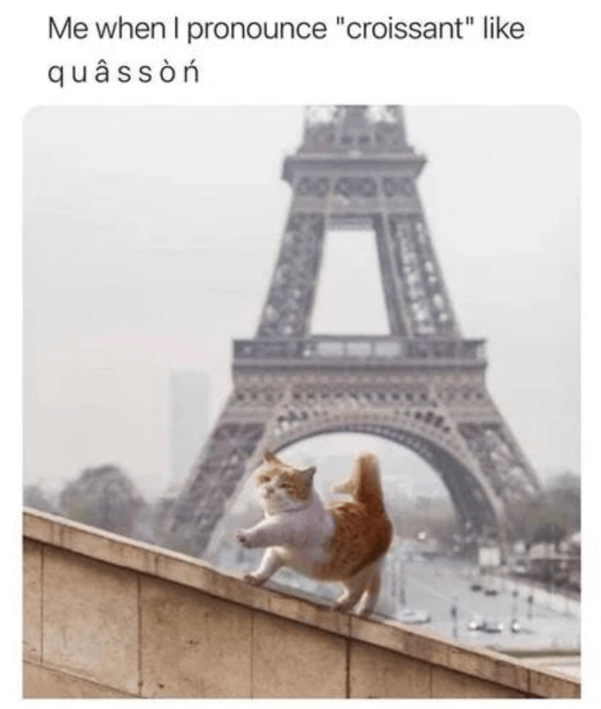 âLe meowâ đ