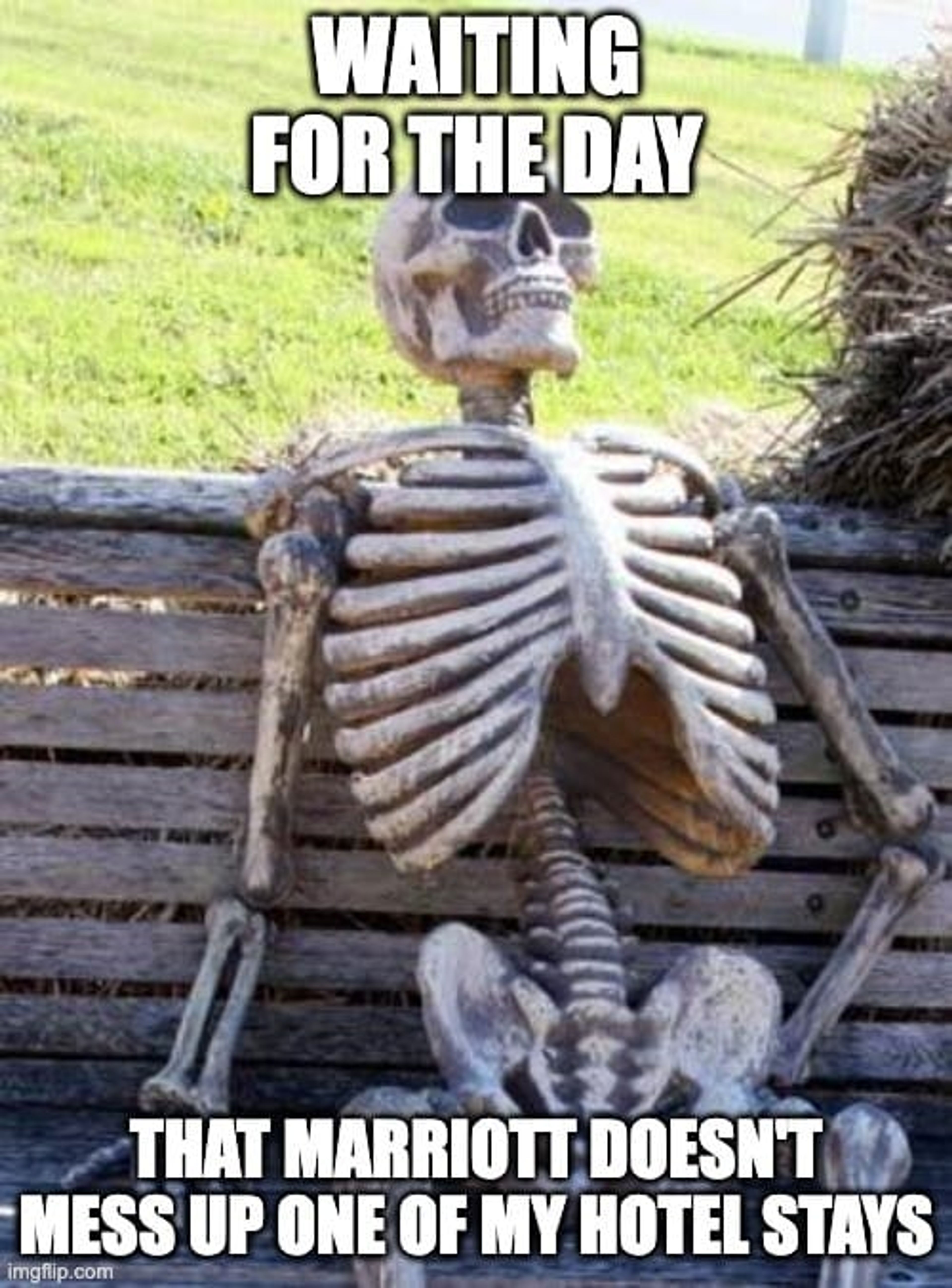 A meme of a skeleton sitting on a bench (about waiting for Marriott to stop ruining my life)