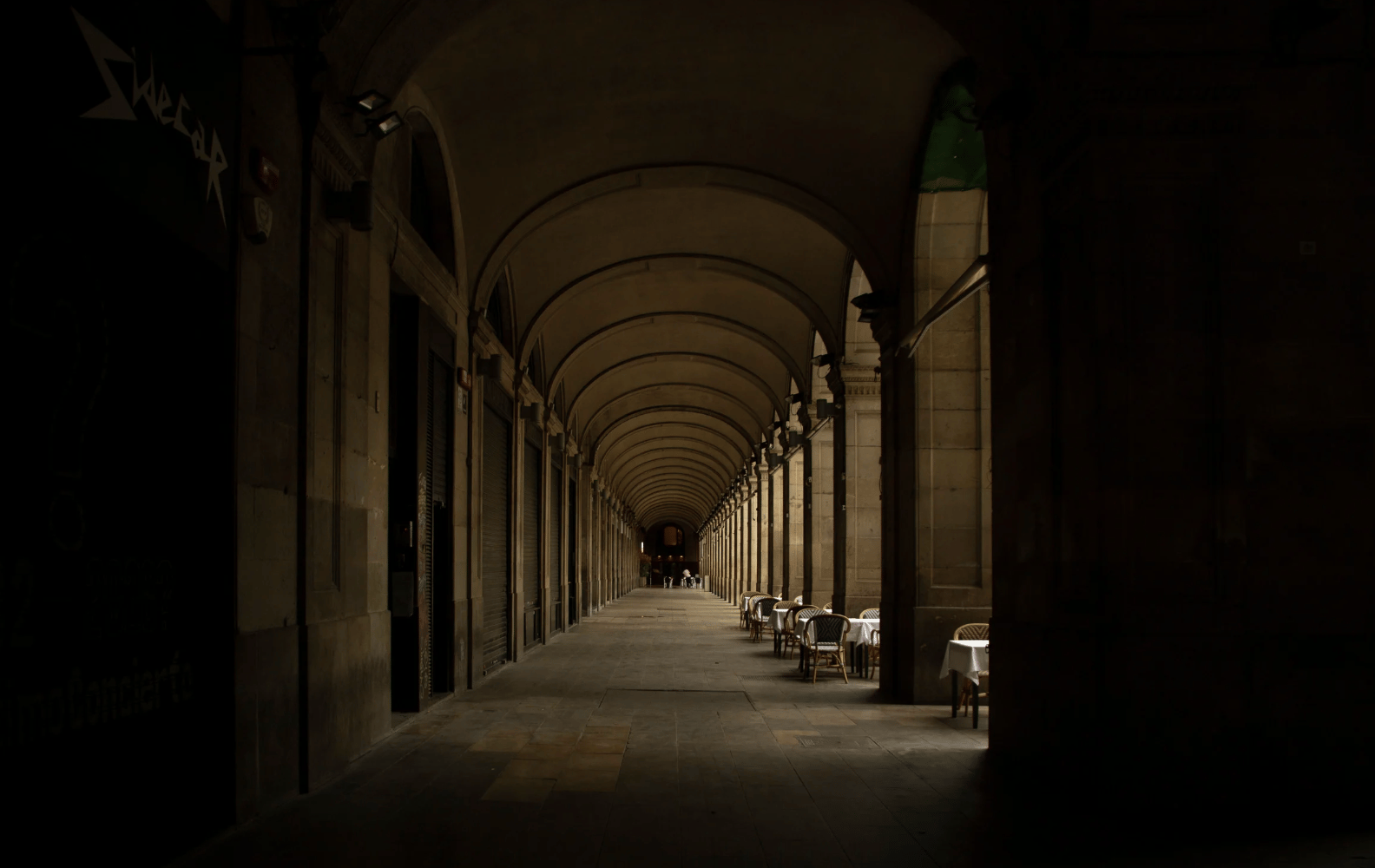 Photo by Canva / Daily Drop