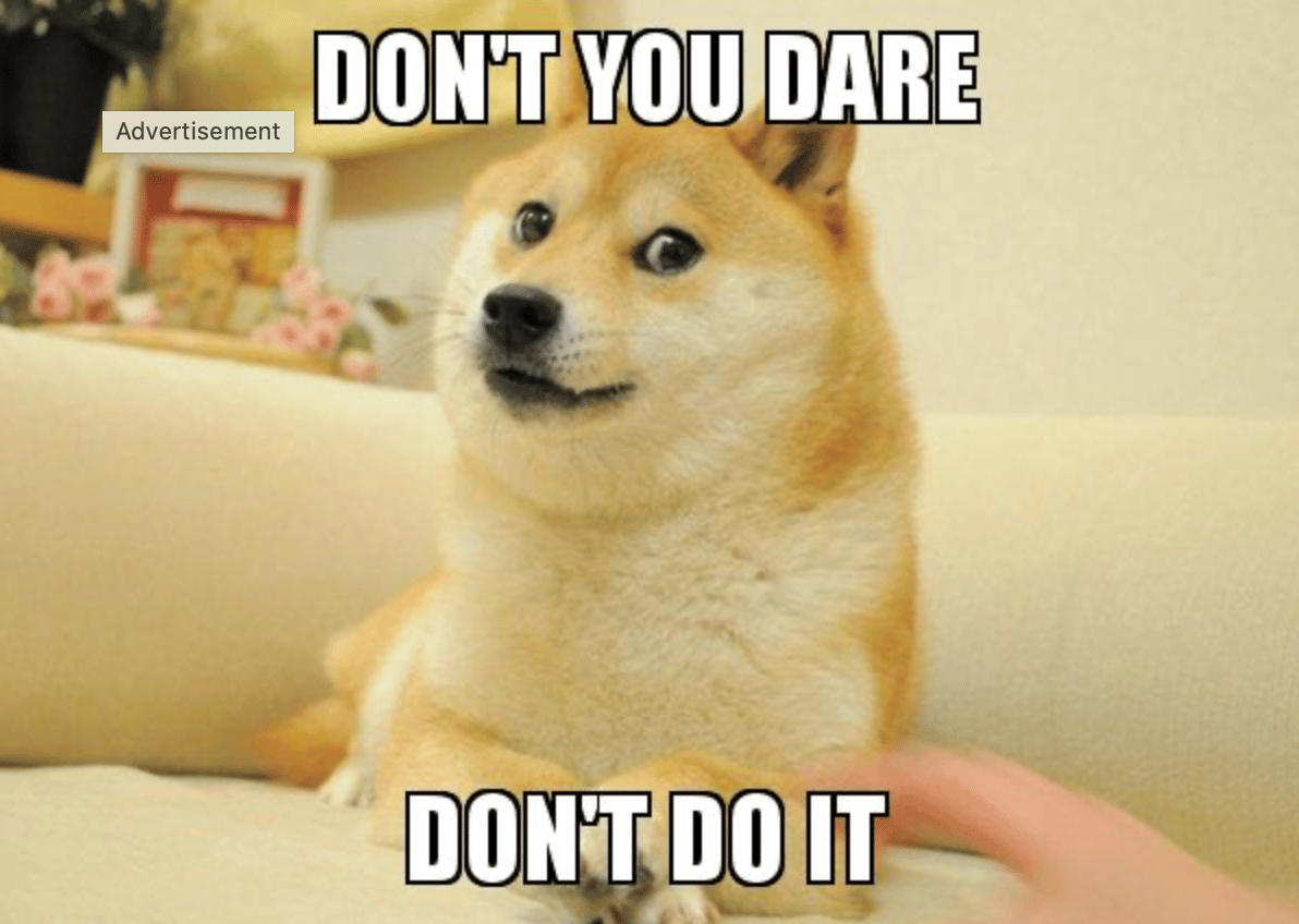 A dog giving some side-eye with words "Don't you dare"