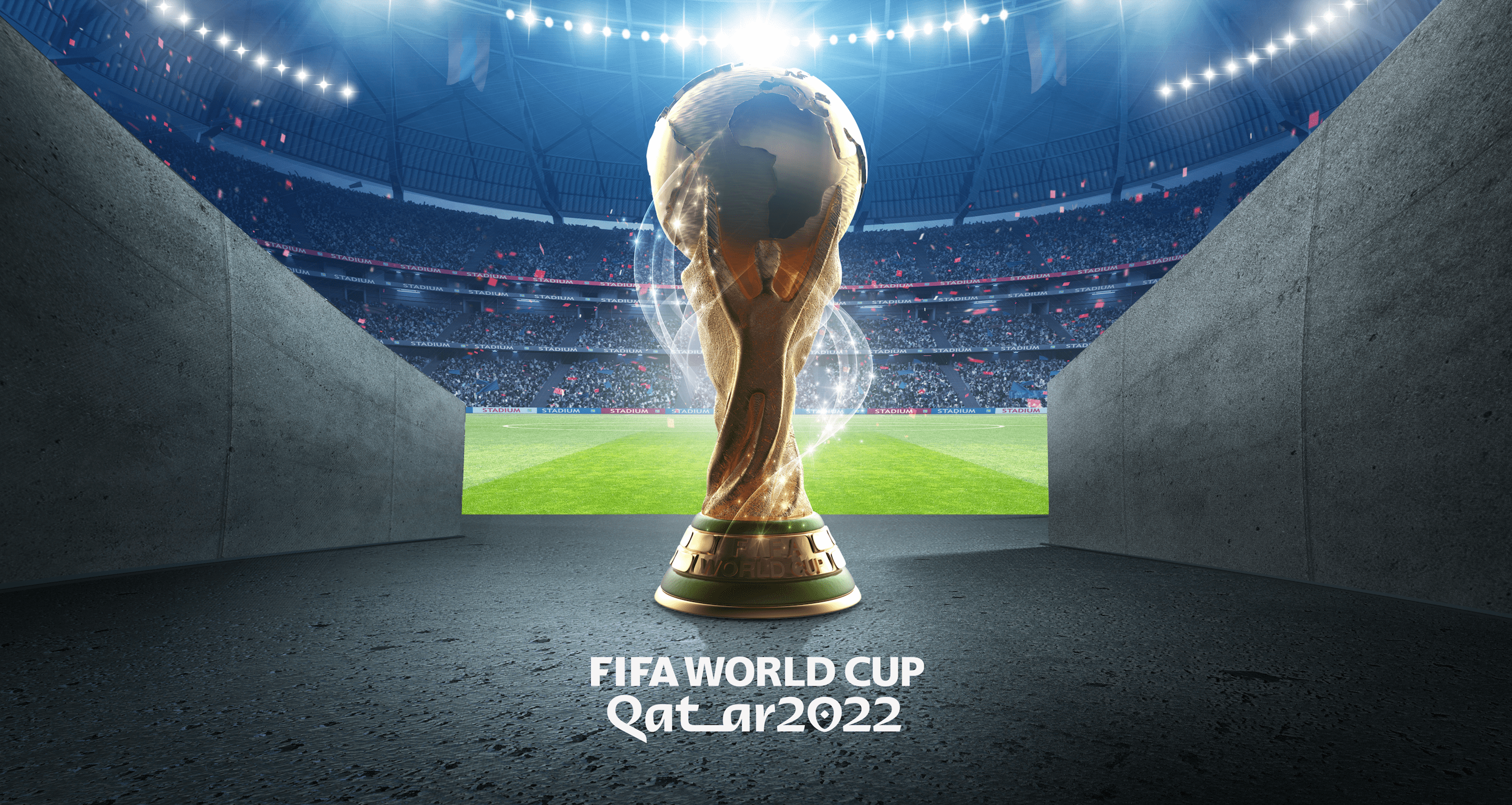 2022 world cup by the numbers