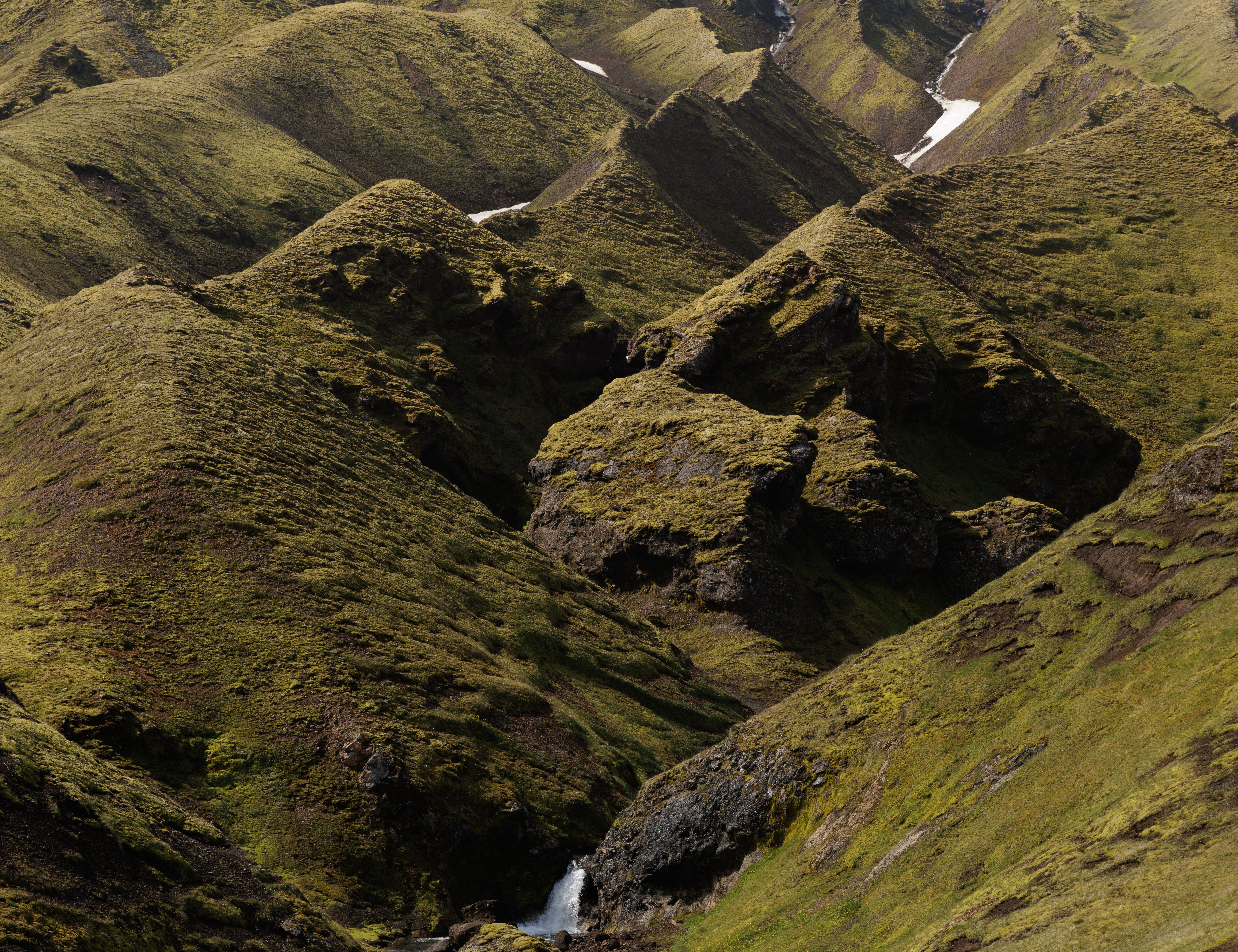 Highlands moss fields.