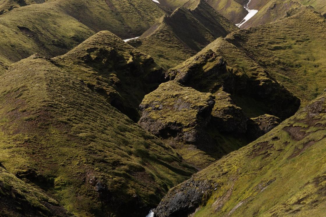 Highlands moss fields.
