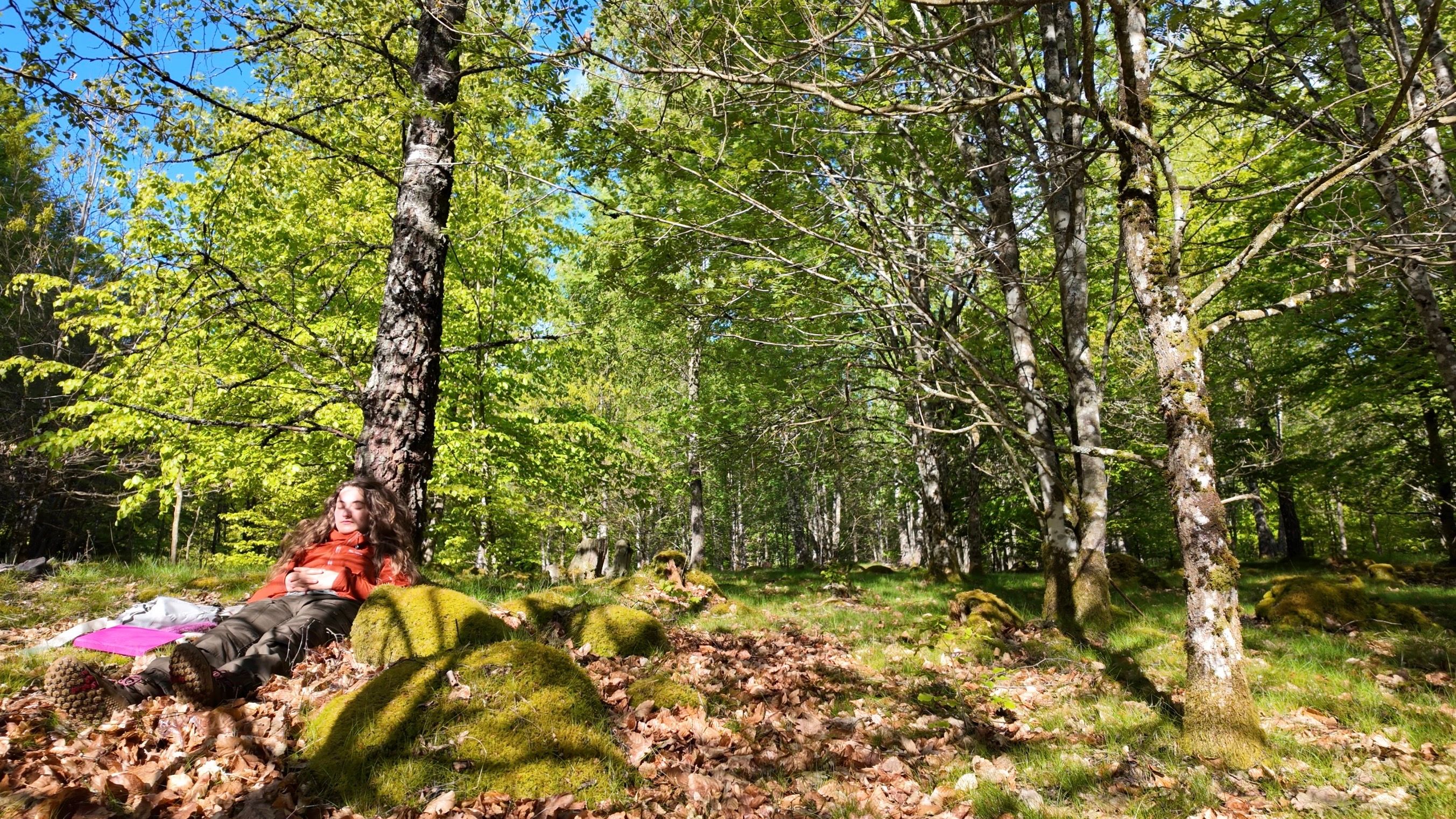 hiker resting by a birchtree