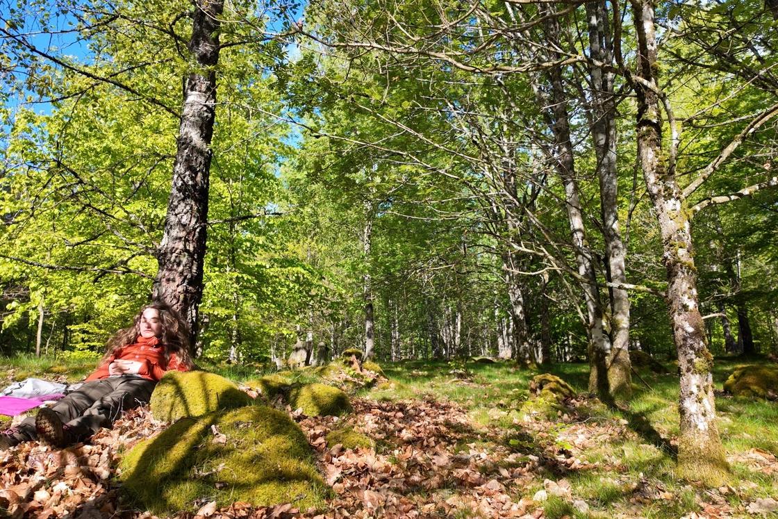 hiker resting by a birchtree