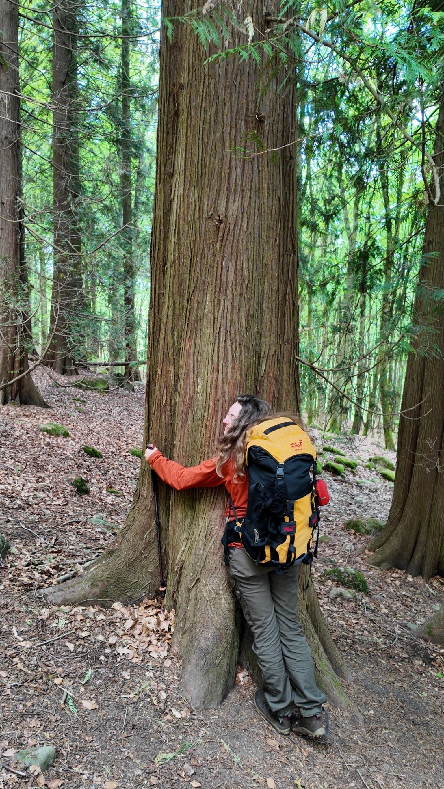 if you want to learn about trees, find the trees. 