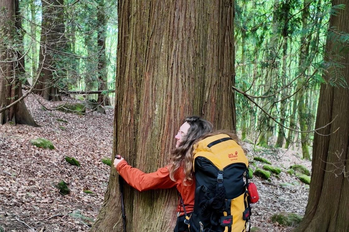 if you want to learn about trees, find the trees.
