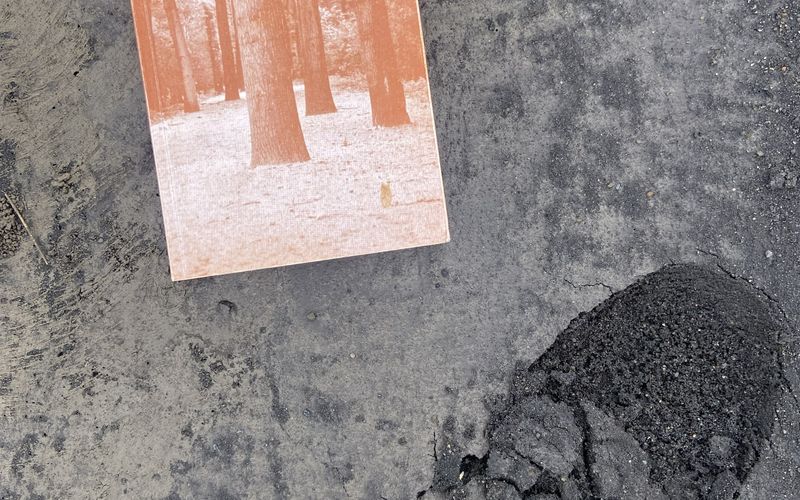 A paperback copy of Henry David Thoreau’s essays "Om at vandre og andre essays om natur" lying on cracked grey asphalt.