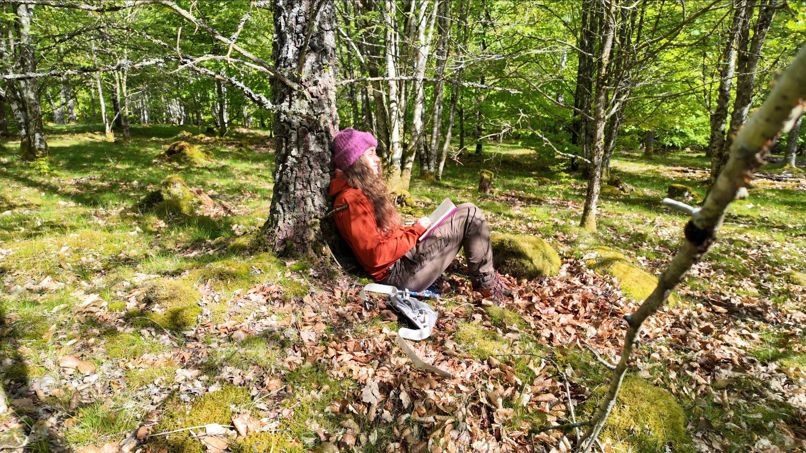 A hiker with a backpack pauses on a sunlit trail at a forest overlook in Söderåsen National Park, Sweden, face turned up to the sun above a wide green ravine landscape