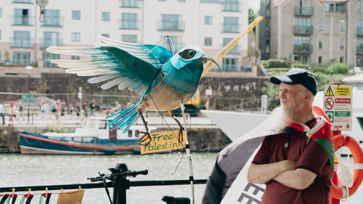 bird