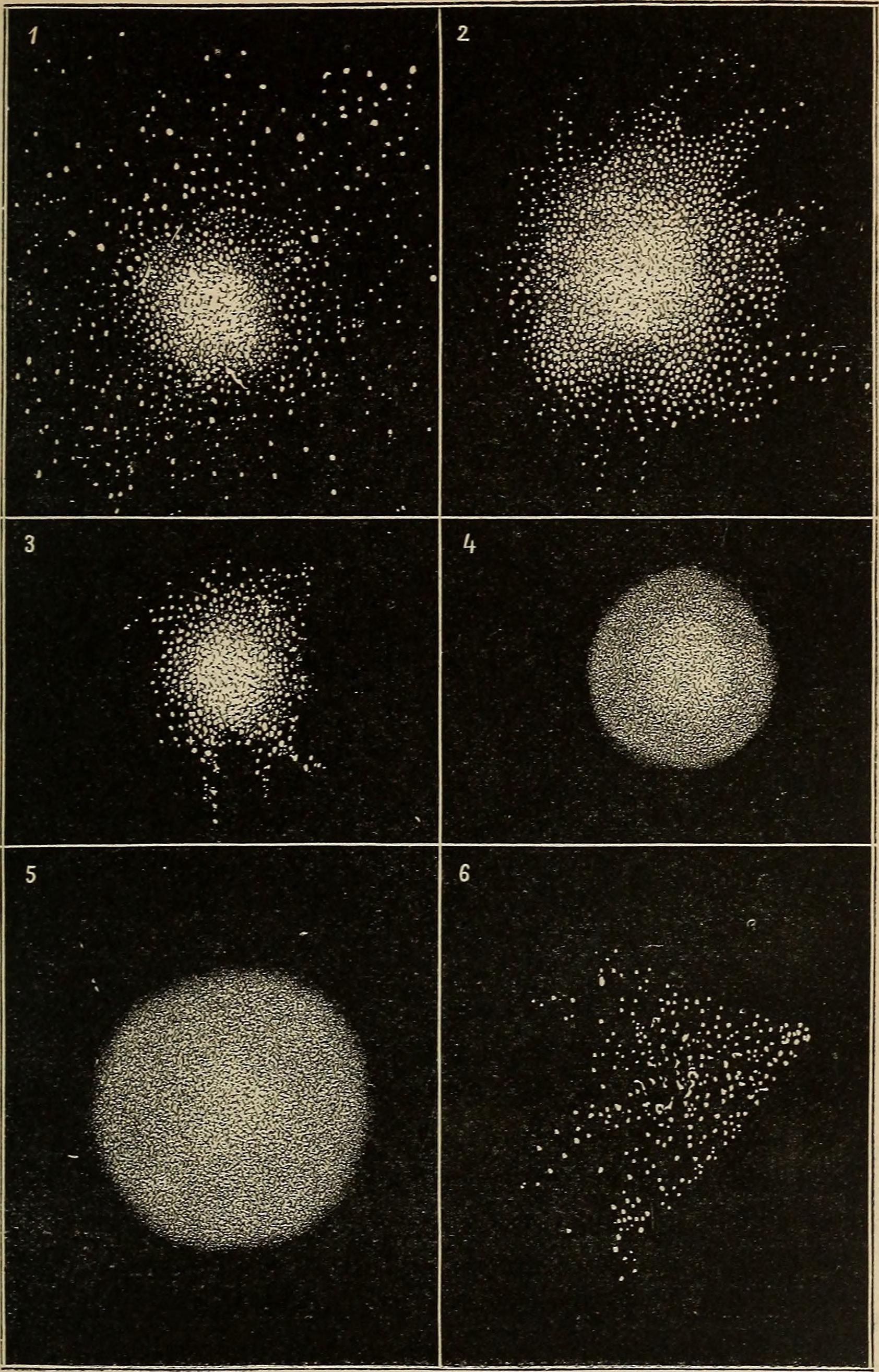 Buds and Spuds, Stars and the Ever Changing Nature of Identity 