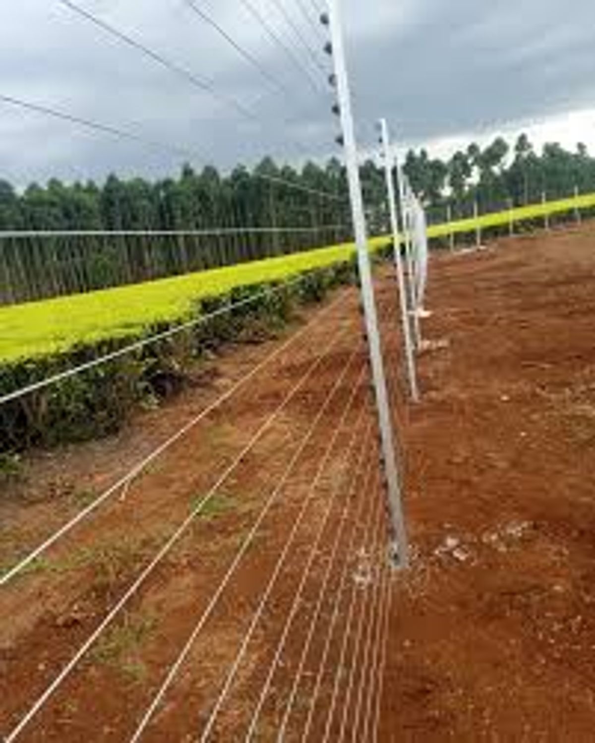 Solar Fencing Installation