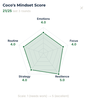 The Mindset Score that is represented by emotions, focus, resilience, strategy, routine