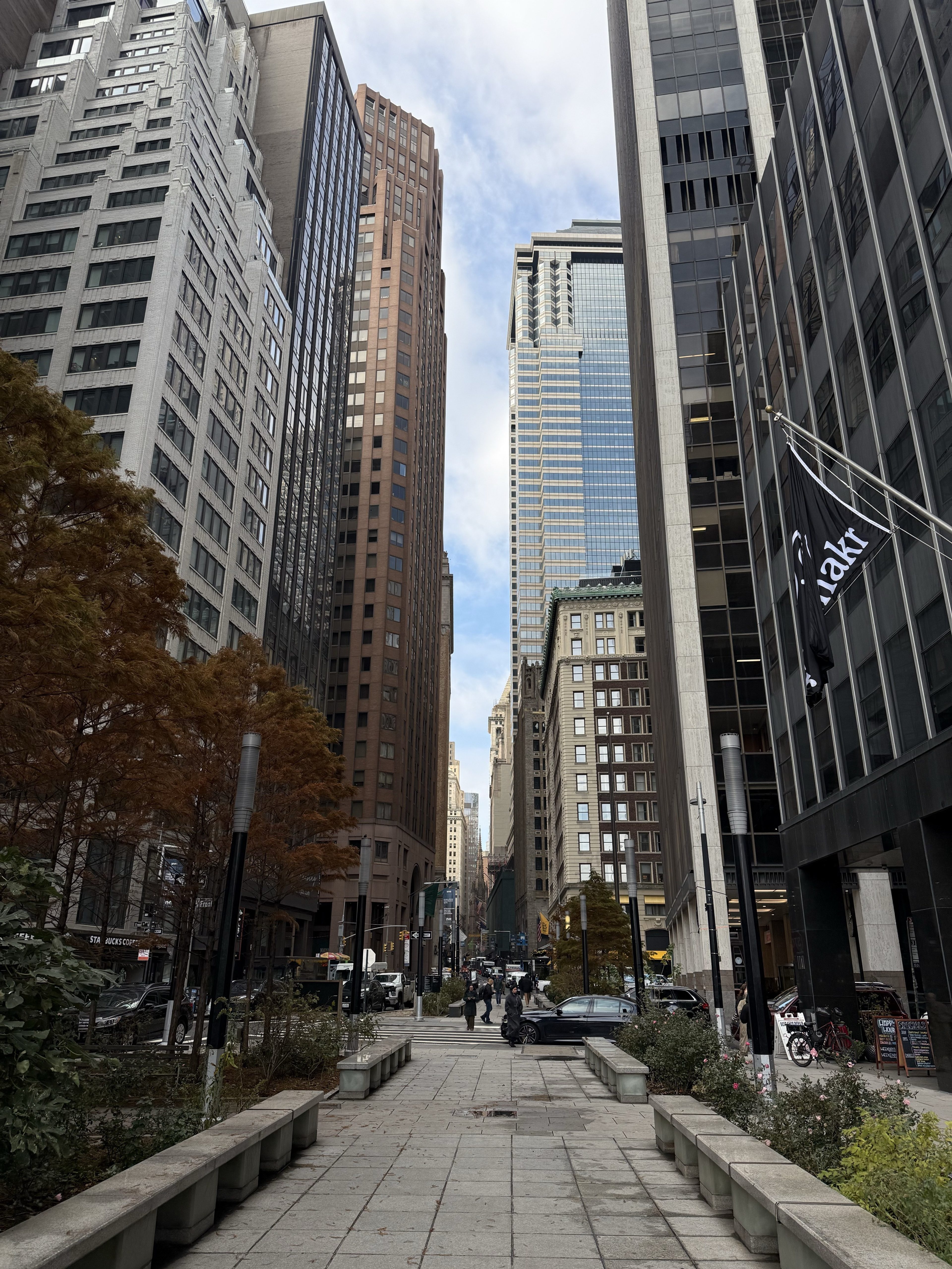 Looking up at office towers from the street