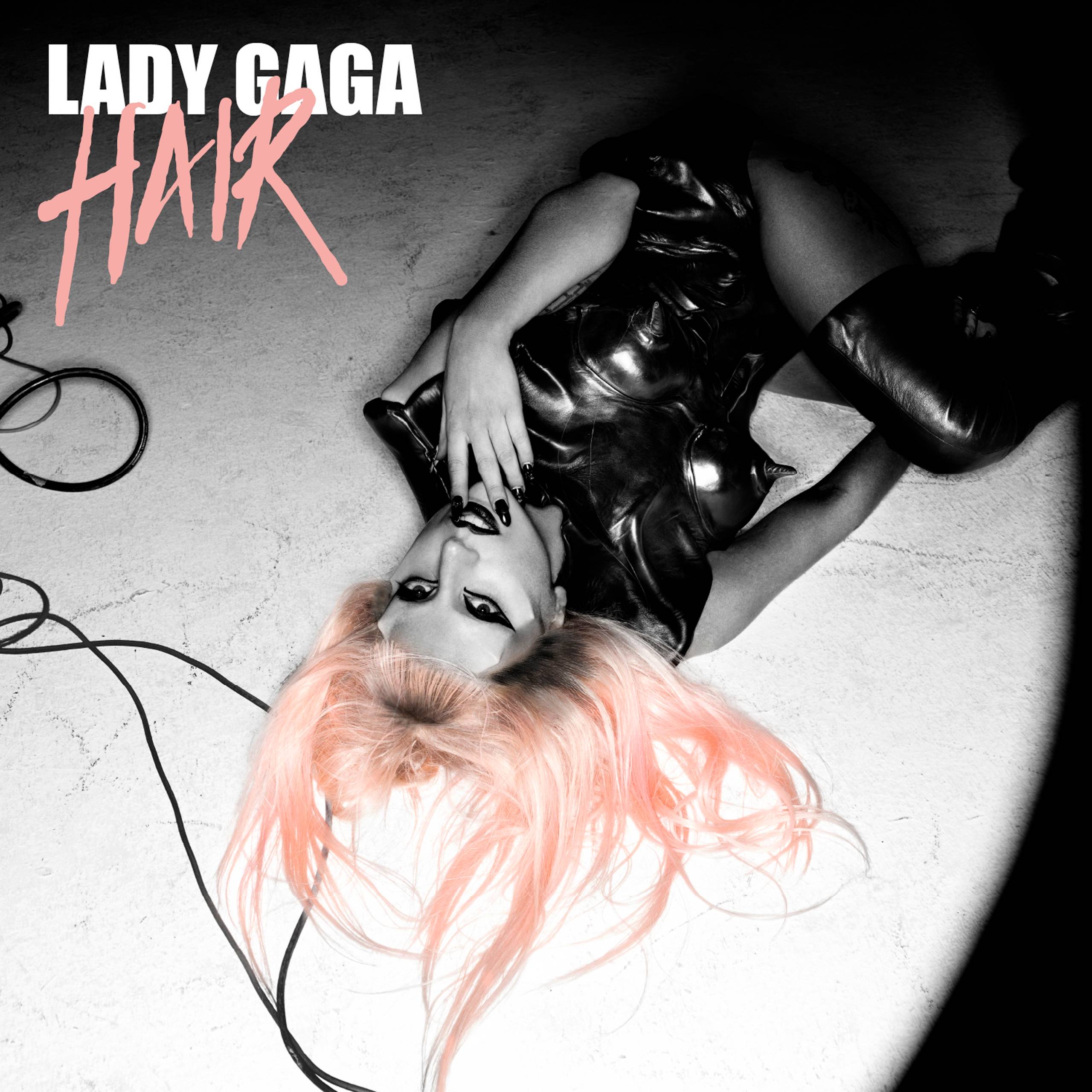 Hair cover art