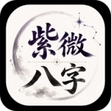 ZiWei BaZi Master AI Astrology icon ZiWei BaZi Master AI Astrology icon