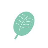 Zen Vault: Mood & Habit Diary icon
