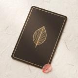 名言オラクル ― 今日の名言占い icon