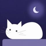meow note: night journal icon
