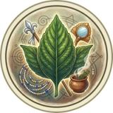 Guia Guiné icon
