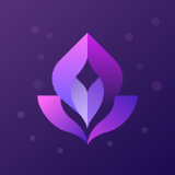 Ceerly logo Ceerly logo