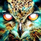 Shamanic Oracle Cards icon Shamanic Oracle Cards icon