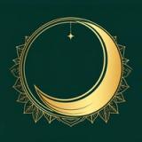 Numerology & Astrology logo