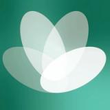 Keen Advisor icon