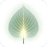 BuddhaUR: Buddhist Meditation icon