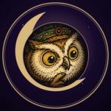 月詠タロット icon 月詠タロット icon