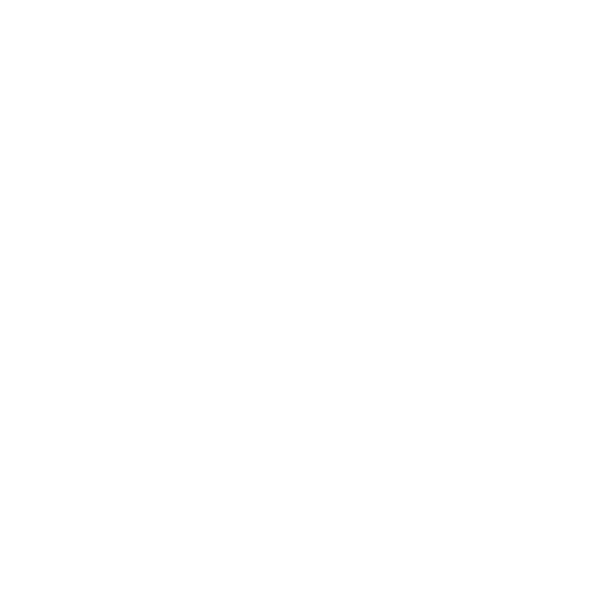 Ri-Ga Logo