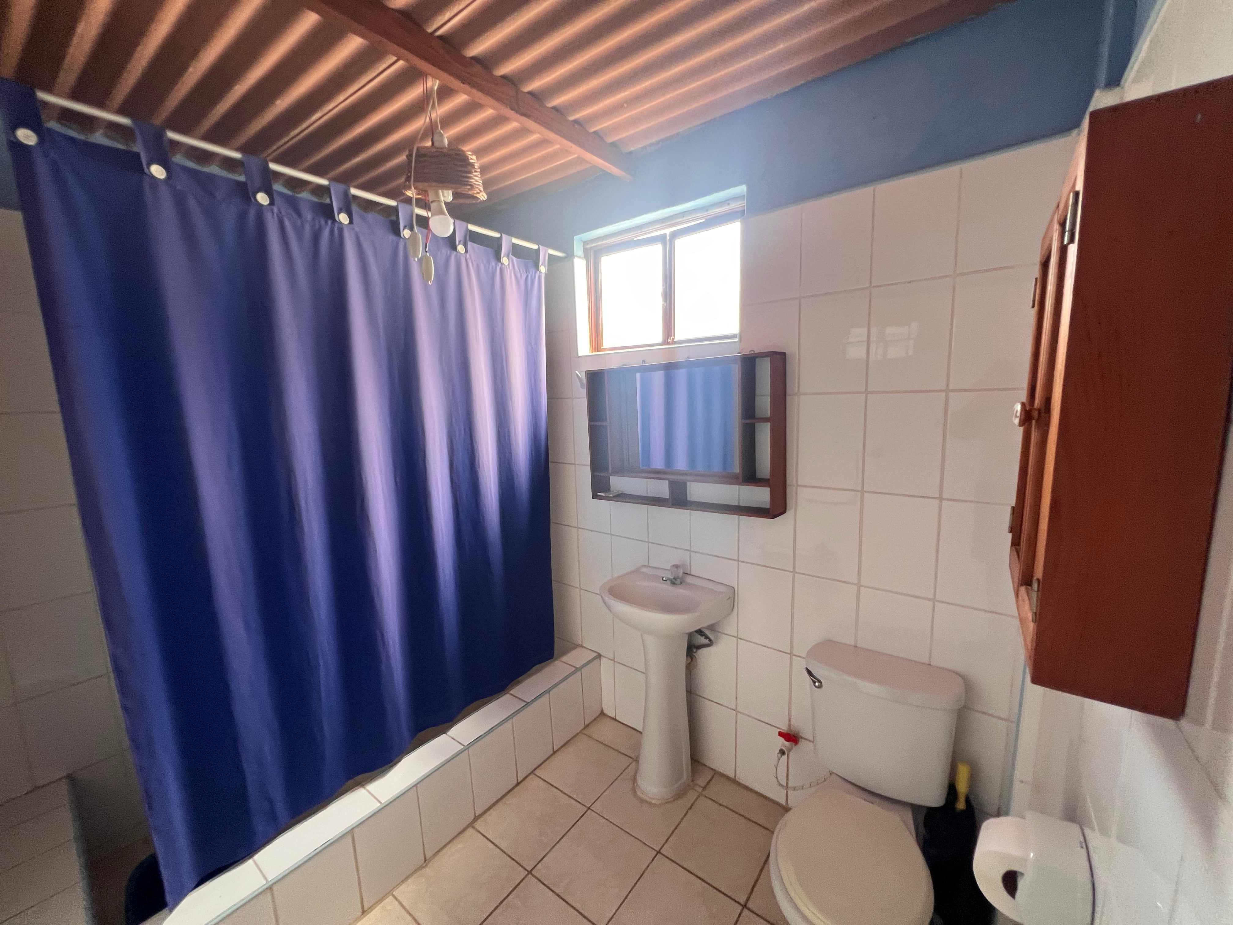 Palmeras - thumbnail 2