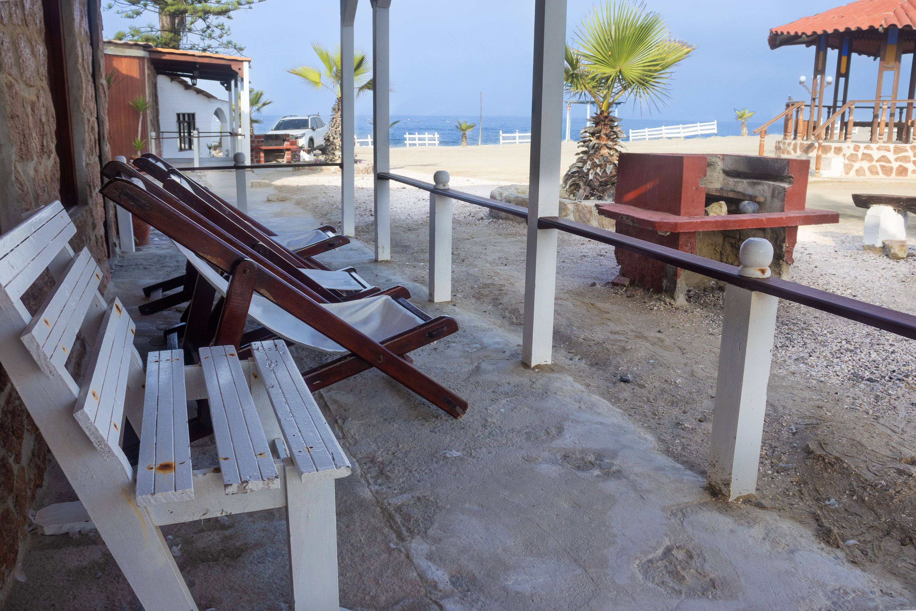 Palmeras Grande - thumbnail 2