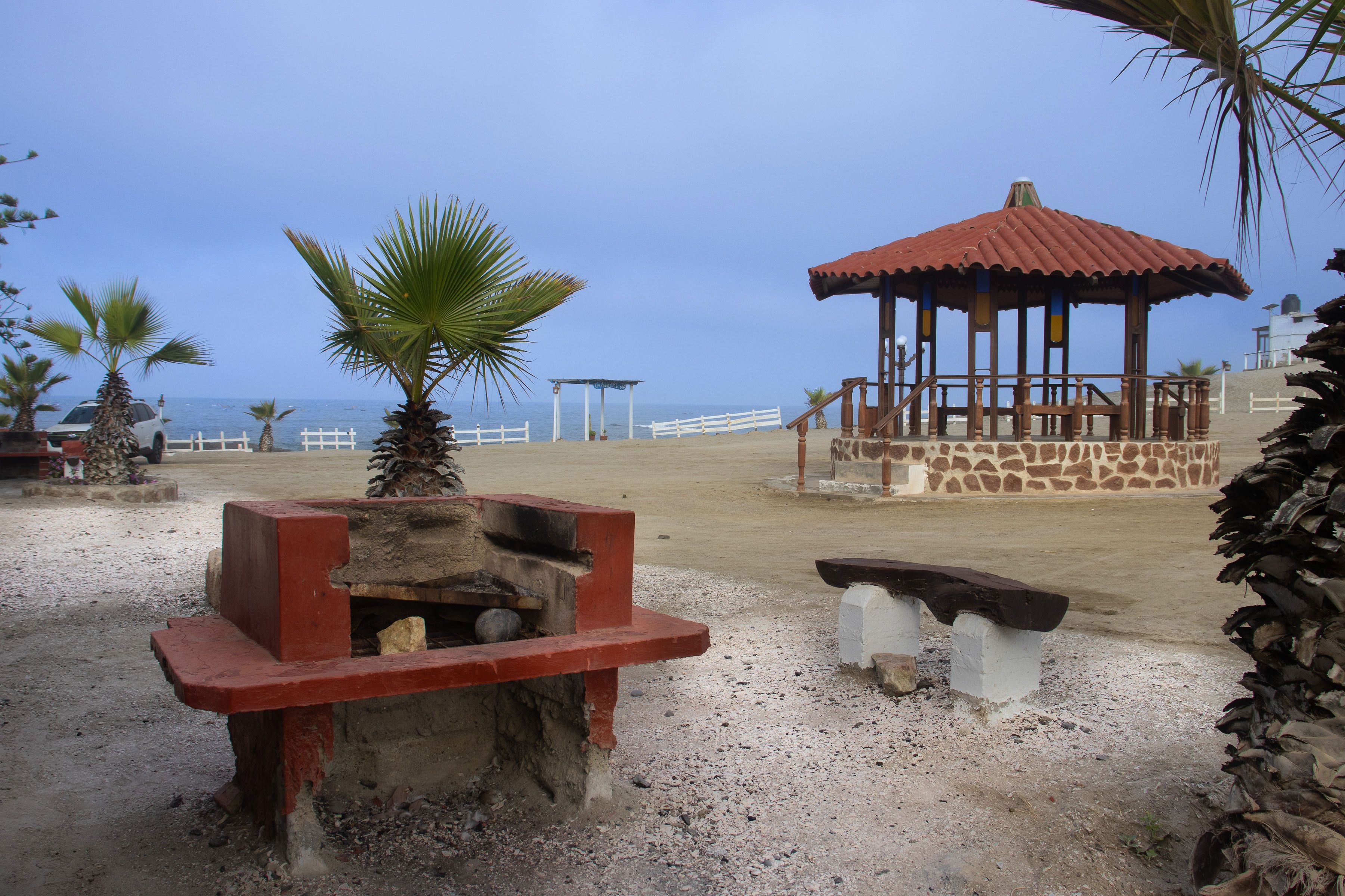 Palmeras Grande - thumbnail 1