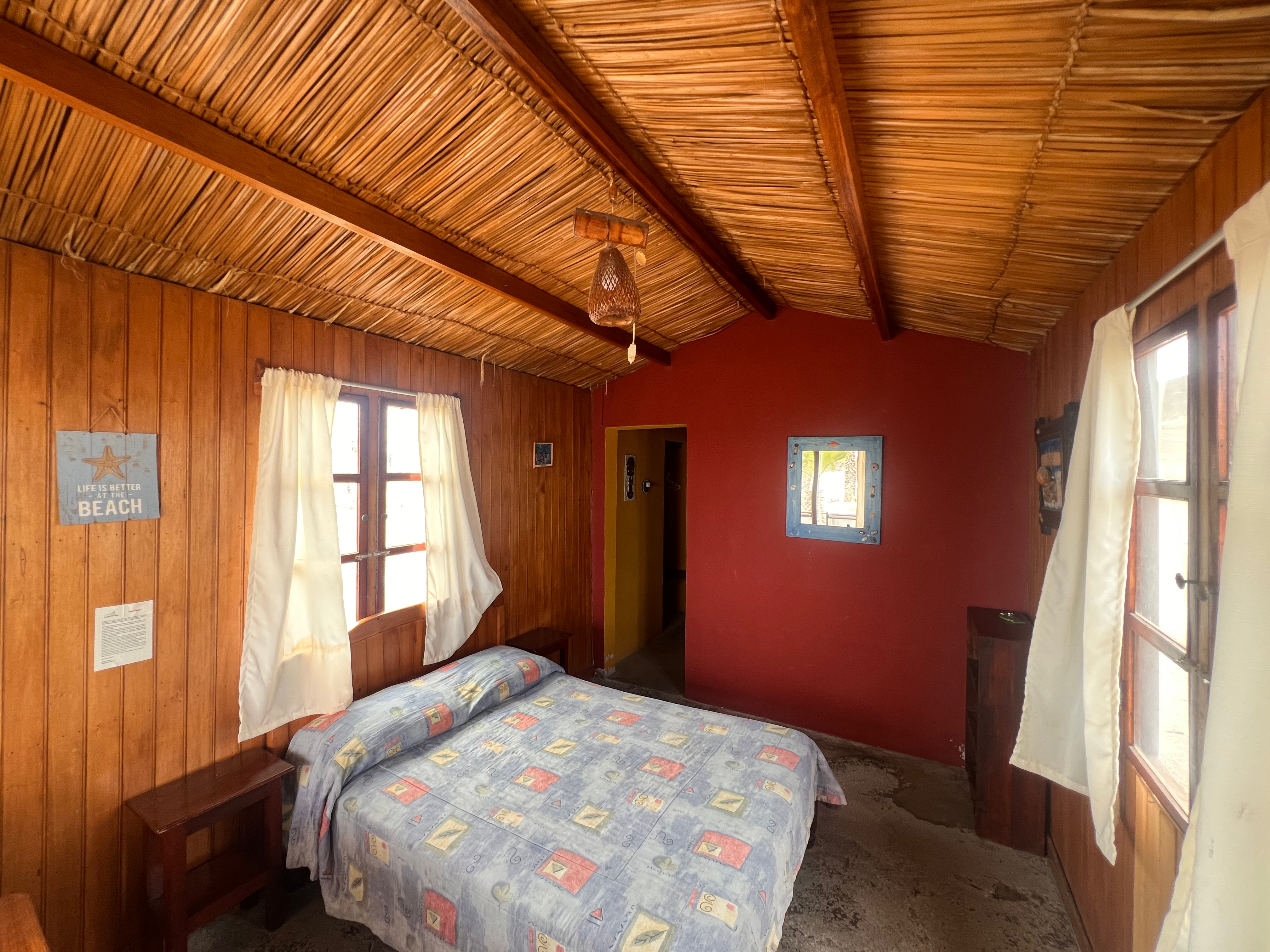 Pavoreal - thumbnail 1