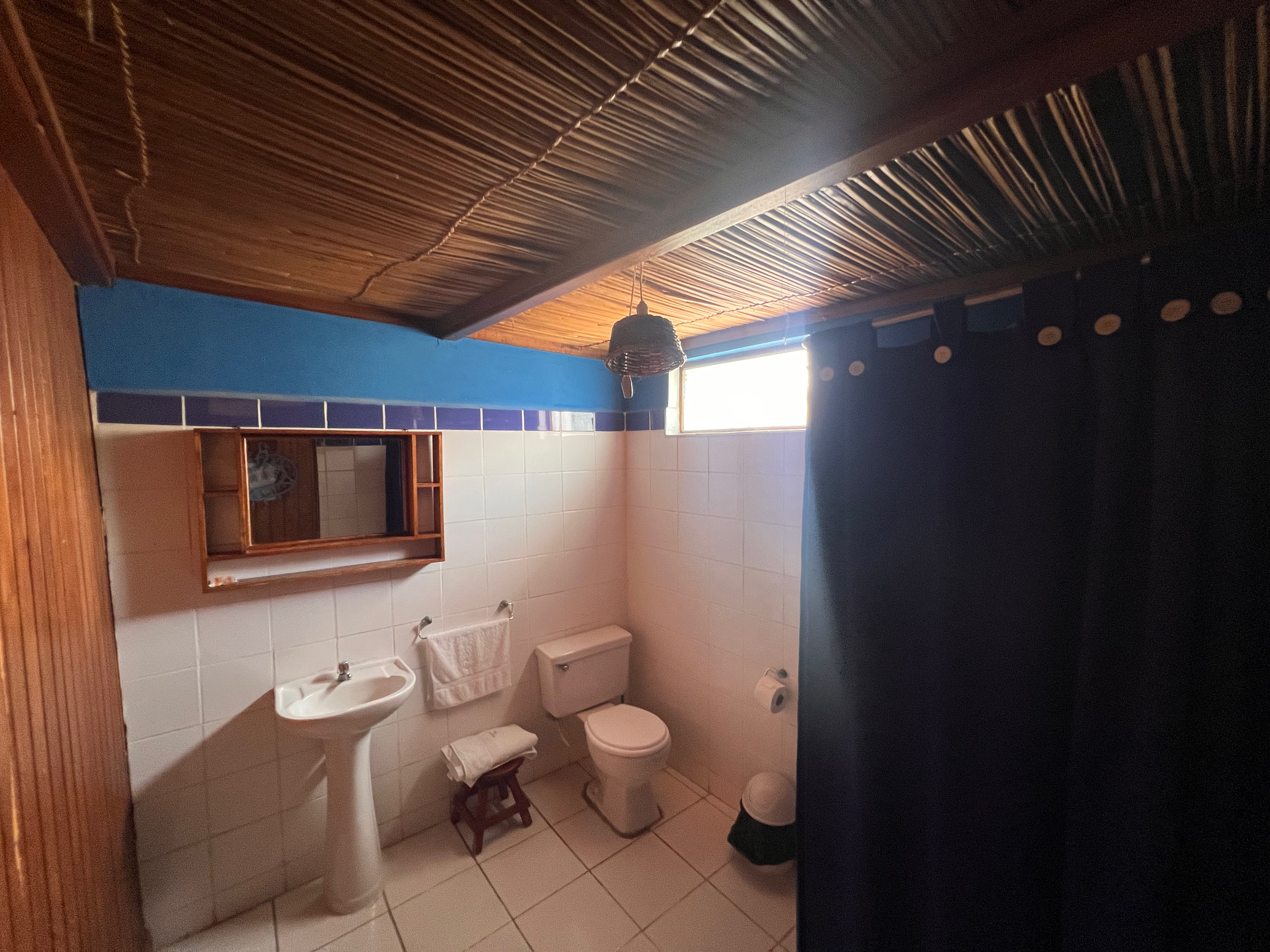 Palomas - thumbnail 3