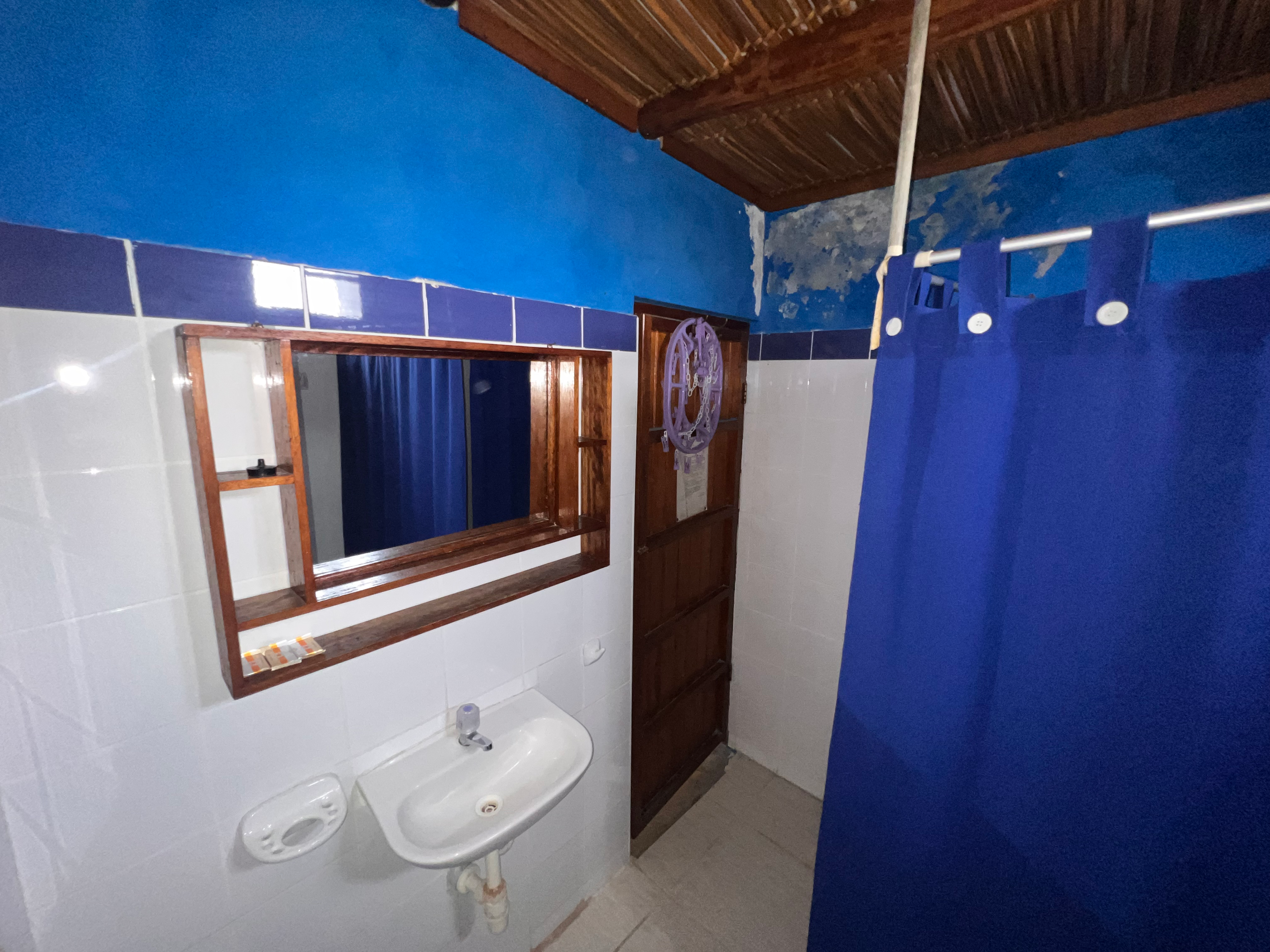 Pavoreal - thumbnail 3