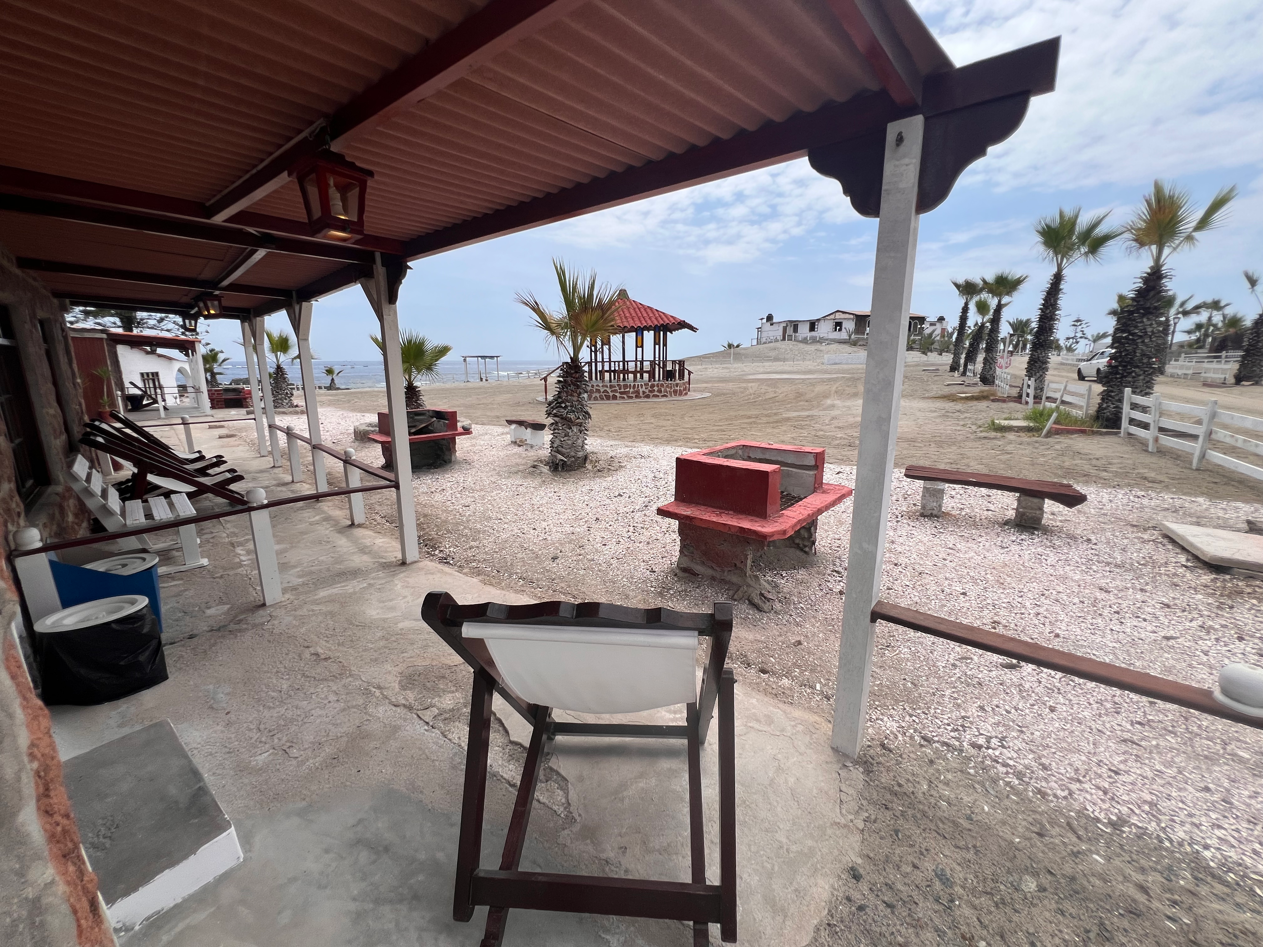 Palmeras Chico - thumbnail 2